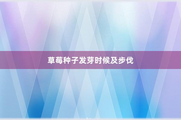 草莓种子发芽时候及步伐