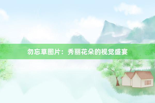 勿忘草图片：秀丽花朵的视觉盛宴