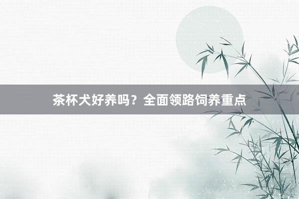 茶杯犬好养吗？全面领路饲养重点